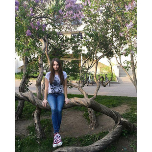Нашла себе скамеечку из сирени???? Нашла себе скамеечку из сирени????