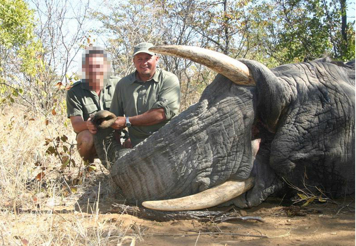 Возмездие: охотника насмерть раздавил слон, которого тот сам же и пристрелил