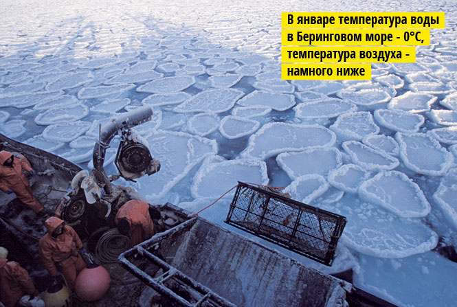 Берингово море Берингово море