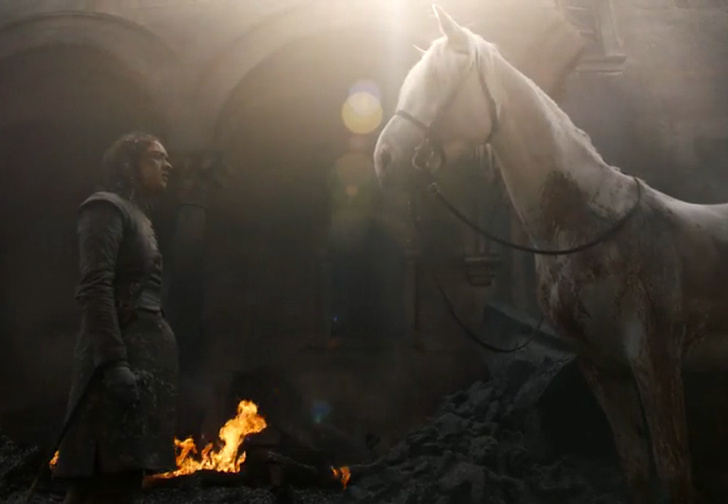 Вот что значит белая лошадь, которую встретила Арья в финале пятой серии «Игры престолов»