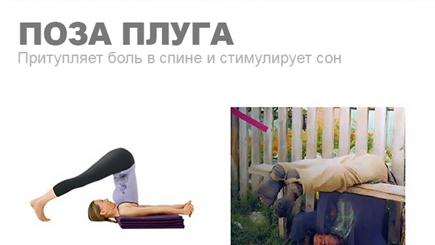 Уроки йоги для пьяниц: 10 классических поз