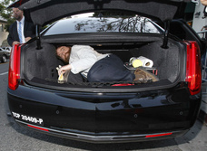 Как выбраться из закрытого багажника