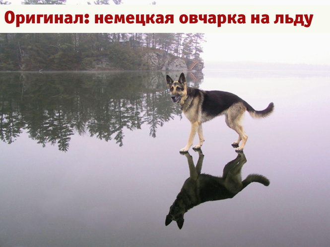 Лучшие фотожабы года! Лучшие фотожабы года!