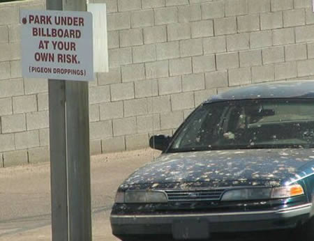 10 знаков, запрещающих парковку