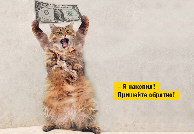 Фото №1 - Как заработать на котиках