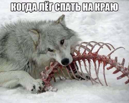Самые смешные статьи и подборки недели! Самые смешные статьи и подборки недели!