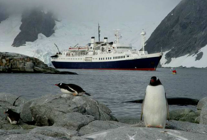 25 фактов об Антарктике
