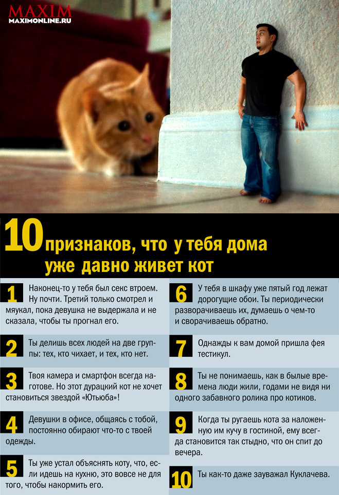 10 признаков, что у тебя дома уже давно живет кот 10 признаков, что у тебя дома уже давно живет кот