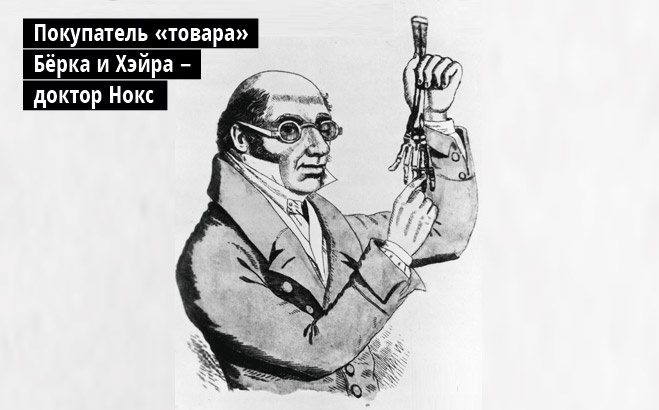 Доктор Нокс Доктор Нокс