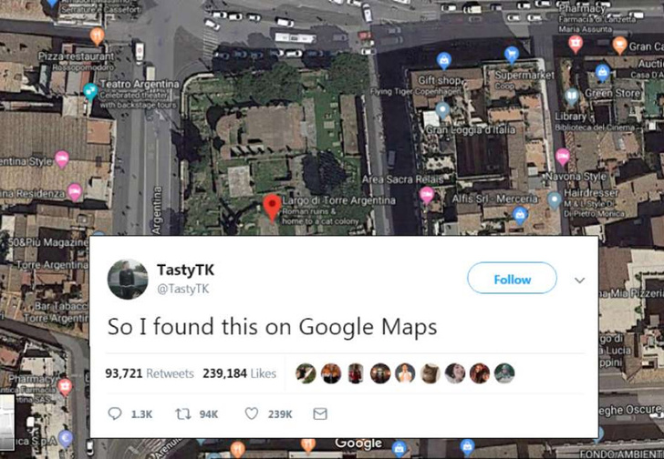 Пользователь Twitter заявил, что нашел «лучшее фото в Картах.Google»
