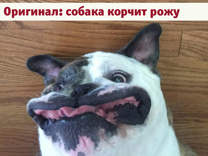 Лучшие фотожабы года! Лучшие фотожабы года!