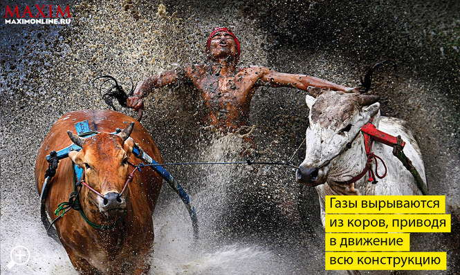 12 самых необычных моментов 2013 года 12 самых необычных моментов 2013 года