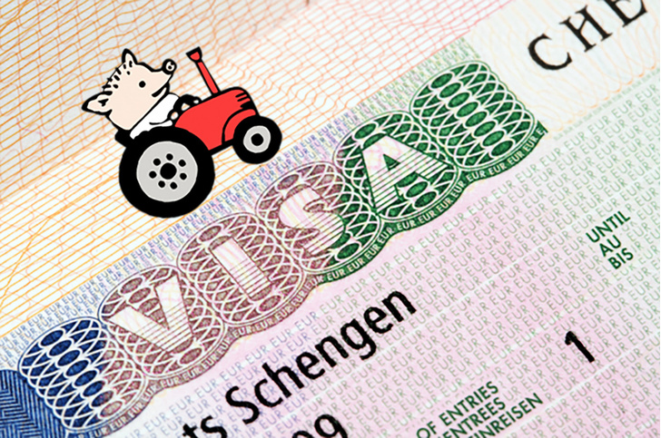 Дороже, дольше, сложнее: новые правила получения шенгенской визы