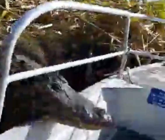 Огромный аллигатор стремительно прыгнул в лодку с туристами! (паническое ВИДЕО)