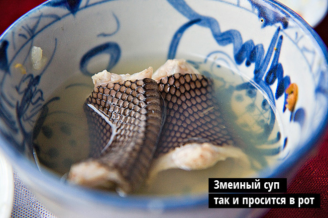 Змеиный суп так и просится в рот Змеиный суп так и просится в рот