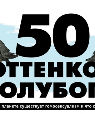 50 оттенков голубого. Зачем на планете существует гомосексуальность и как с этим жить