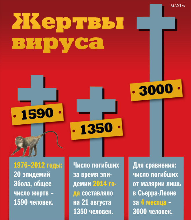 Жертвы вируса Эбола Жертвы вируса Эбола
