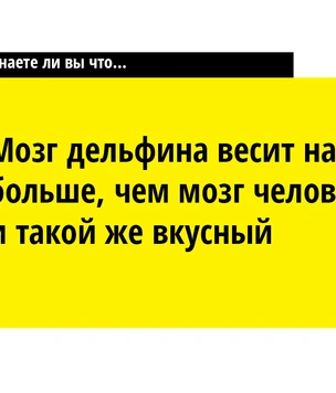 Мим довольно разговорчив, если его ударить