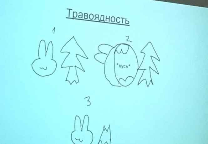 «Презентация года» по биологии, которая заменит тебе школьный курс «Презентация года» по биологии, которая заменит тебе школьный курс