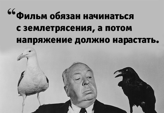 10 остроумных цитат о кино 10 остроумных цитат о кино