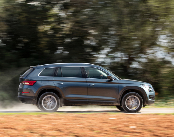 Skoda Kodiaq: на охоту с медведем Skoda Kodiaq: на охоту с медведем