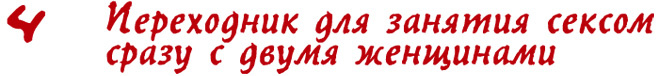 Переходник для занятия сексом с двумя женщинами Переходник для занятия сексом с двумя женщинами