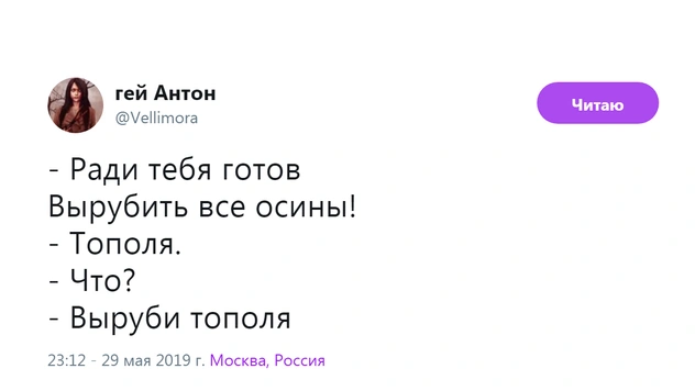 Лучшие шутки про главную беду мая — тополиный пух
