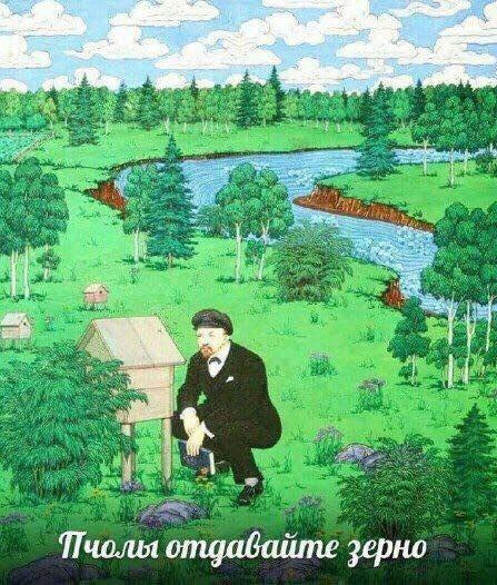 447x526_1_1c70942080f673cb71b1c9671b6d6d