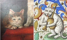 20 уморительных котов со средневековых картин