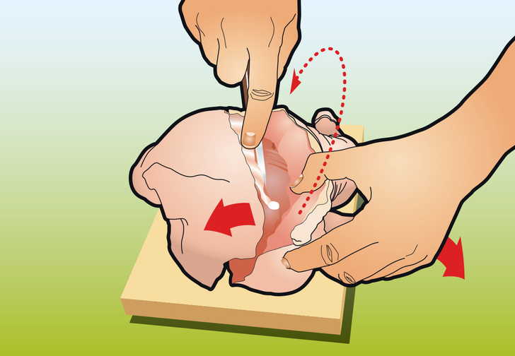 Фото №3 - Как вытащить все кости из курицы: инструкция в картинках