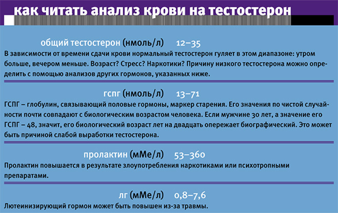 Как читать анализ крови на тестостерон Как читать анализ крови на тестостерон